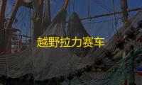 越野拉力赛车